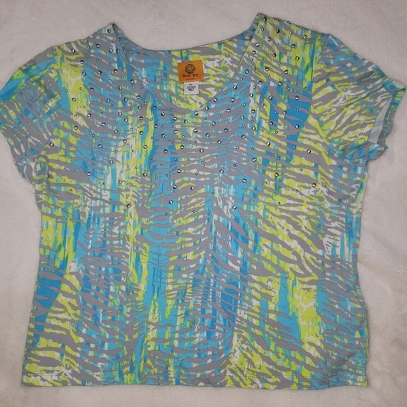 Ruby Rd. Blue and Green Graphic Crop Tee - Picture 1 of 6